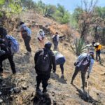 Petro bajo la lupa: ¿Investigación penal de EE.UU. contra el mandatario colombiano?