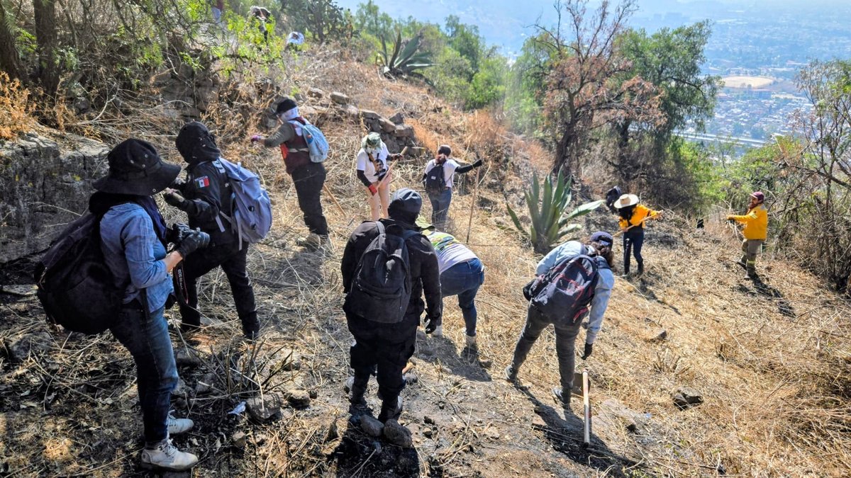Avanzan en el Panteón de Dolores las labores para localizar a desaparecidos