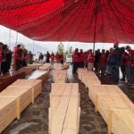 Exigen peritaje urgente para decidir el futuro de los perros en el Refugio Franciscano